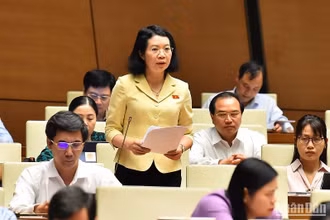 Đại biểu Mai Thị Phương Hoa góp ý kiến vào dự thảo Nghị quyết. (Ảnh: THỦY NGUYÊN)