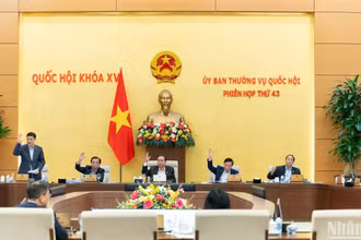 100% thành viên Ủy ban Thường vụ Quốc hội đã biểu quyết đồng ý việc giảm tiền thuê đất năm 2024 theo đề xuất của Chính phủ. (Ảnh: DUY LINH)