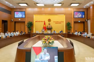 Bổ sung sửa đổi Luật Thuế thu nhập cá nhân và Luật Xử lý vi phạm hành chính