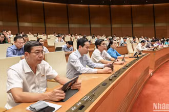 Các đại biểu Quốc hội dự phiên họp ở hội trường chiều 19/5. (Ảnh: BÙI GIANG)