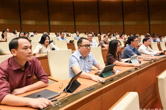 Các đại biểu Quốc hội bấm nút biểu quyết thông qua Nghị quyết về Chương trình xây dựng luật, pháp lệnh năm 2025, điều chỉnh Chương trình xây dựng luật, pháp lệnh năm 2024. (Ảnh: DUY LINH)