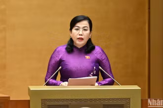 Đề xuất giảm thời gian thực hiện một số bước trong quy trình bầu cử đại biểu Quốc hội và đại biểu HĐND