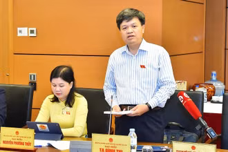 Đại biểu Tạ Đình Thi (đoàn Hà Nội) phát biểu trong phiên thảo luận tổ chiều 5/6. (Ảnh: THỦY NGUYÊN)