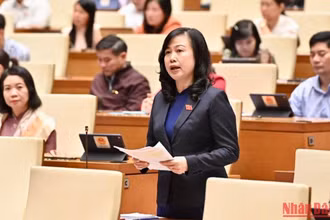 Bộ trưởng Y tế Đào Hồng Lan giải trình, làm rõ một số vấn đề đại biểu Quốc hội nêu. Ảnh: ĐĂNG KHOA