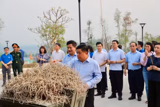 Bộ trưởng Nguyễn Chí Dũng cùng đoàn công tác đến đặt vòng hoa, dâng hương tưởng niệm và tri ân các anh hùng liệt sĩ tại Nghĩa trang Liệt sĩ quốc gia A1.