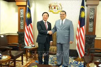 Phó Chủ tịch Quốc hội Nguyễn Khắc Định chào Chủ tịch Hạ viện Malaysia Tan Sri Dato’ Johari Bin Abdul. (Ảnh: TTXVN)