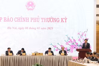 Họp báo Chính phủ thường kỳ tháng. (Ảnh: VGP) 