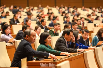 Các đại biểu Quốc hội bấm nút biểu quyết thông qua Nghị quyết. (Ảnh: DUY LINH)
