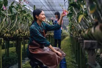 Đông Á-Thái Bình Dương trước thách thức già hóa dân số
