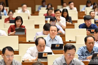 Các đại biểu Quốc hội làm việc tại hội trường. (Ảnh: THỦY NGUYÊN)