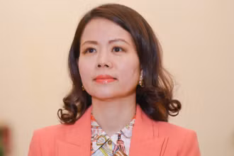 Thứ trưởng Ngoại giao Nguyễn Minh Hằng. (Ảnh: Báo Thế giới và Việt Nam) 