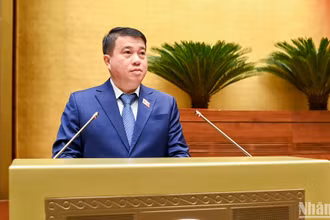 Chủ tịch Hội đồng Dân tộc của Quốc hội, Phó Trưởng Đoàn giám sát của Quốc hội Y Thanh Hà Niê Kđăm trình bày Báo cáo của Đoàn giám sát của Quốc hội về việc triển khai thực hiện các Nghị quyết của Quốc hội về các Chương trình mục tiêu quốc gia. (Ảnh: DUY LINH) 