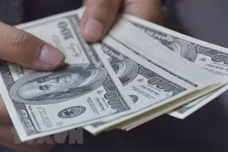 Đồng 100 USD. (Ảnh: AFP/TTXVN)