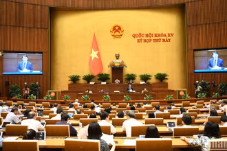 Quang cảnh phiên họp của Quốc hội, ngày 27/6/2024. (Ảnh: DUY LINH)