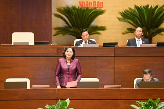 Thống đốc Ngân hàng Nhà nước Việt Nam Nguyễn Thị Hồng phát biểu giải trình, làm rõ một số vấn đề đại biểu Quốc hội nêu. (Ảnh: DUY LINH)