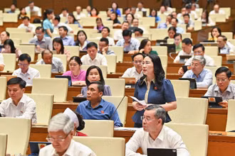 Đại biểu Nguyễn Thị Thủy - Đoàn đại biểu Quốc hội tỉnh Bắc Kạn phát biểu tại phiên thảo luận sáng 31/5. (Ảnh: DUY LINH)