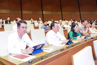 Các đại biểu dự phiên họp của Quốc hội, chiều 31/10/2023. (Ảnh: DUY LINH)