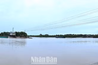 Vùng sông nước Cà Mau nước sâu và chảy xiết, rất nguy hiểm khi di chuyển trên sông, nhất là vào đêm tối.