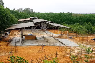 Hai khu nhà chăn nuôi gia súc được ông Bùi Mạnh Dũng xây dựng trái phép tại thôn Tân Văn, xã Gio An.