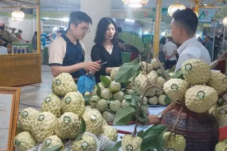 Gian hàng na Lạng Sơn tại Hà Nội. 