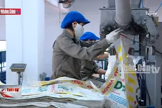 Bộ Công Thương nhận lại 6 doanh nghiệp từ siêu Ủy ban