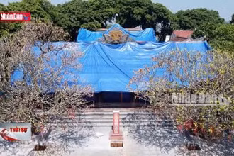 Khẩn trương phục hồi di tích, di vật tại chùa Phổ Quang
