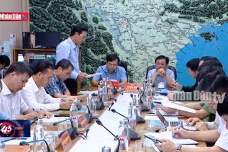 Khẩn trương ứng phó với bão số 6