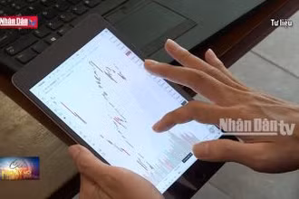 Tạm ngừng giao dịch tài khoản chứng khoán không chuẩn hóa thông tin