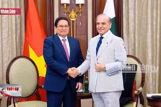 Thúc đẩy quan hệ Việt Nam - Pakistan