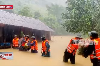 Quảng Bình: hơn 15 nghìn nhà dân bị ngập sâu trong nước