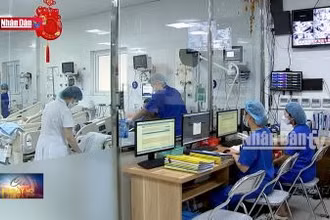 Người mắc bệnh tim mạch tăng nhanh và ngày càng trẻ hóa