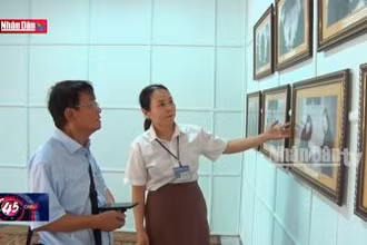 Câu chuyện văn hóa: Tôn vinh giá trị của hòa bình