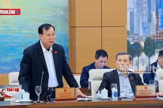 Phải có những cơ chế thật mạnh và vượt trội khi tinh gọn, sắp xếp