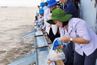 Sóc Trăng thả hơn 1,5 triệu con tôm giống ra biển.
