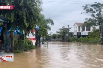 Chủ động phòng ngừa, ứng phó với thiên tai