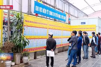 Xây dựng mạng lưới hỗ trợ việc làm cho lao động xuất khẩu về nước