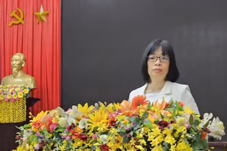 Đồng chí Nguyễn Thị Thanh Lịch, Phó Chủ tịch Ủy ban nhân dân tỉnh báo cáo tại hội nghị.