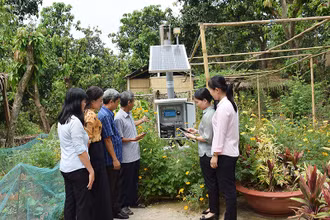 Mô hình Làng thông minh được kỳ vọng thay đổi diện mạo nông thôn ở Đồng Tháp.