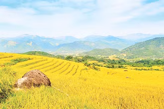 Những thửa ruộng bậc thang rực rỡ sắc mầu tạo nên khung cảnh tuyệt đẹp của mùa vàng Bình Liêu.