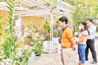 Người dân tham quan tại Festival hoa lan Thành phố Hồ Chí Minh lần thứ 2 năm 2023.