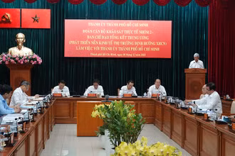 Quang cảnh buổi làm việc.