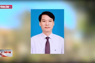 Cách các chức vụ trong Đảng đối với Phó Giám đốc Sở Y tế Yên Bái