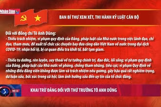Khai trừ Đảng đối với Thứ trưởng Tô Anh Dũng