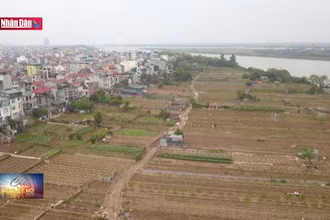 Nghiên cứu đánh thuế chống đầu cơ đất đai