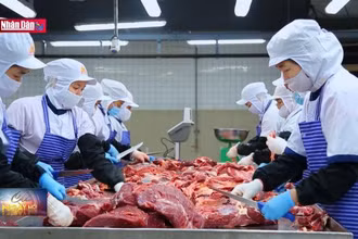 Chuẩn bị hàng thiết yếu dịp cuối năm