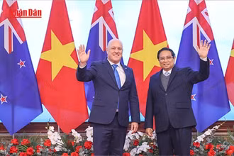 [Video] Thủ tướng Phạm Minh Chính hội đàm với Thủ tướng New Zealand