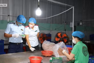 Đoàn kiểm tra liên ngành kiểm tra các tổ chức, cá nhân, cơ sở sản xuất, kinh doanh về an ninh, an toàn thực phẩm. (Ảnh: TTXVN)