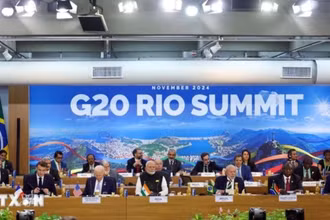 Các đại biểu tham dự Hội nghị thượng đỉnh G20 ở Rio de Janeiro, Brazil. (Ảnh: ANI/TTXVN)