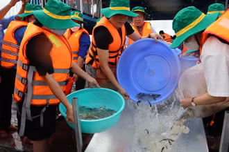 Thả cá xuống sông Hậu để tái tạo nguồn thủy sản tự nhiên.