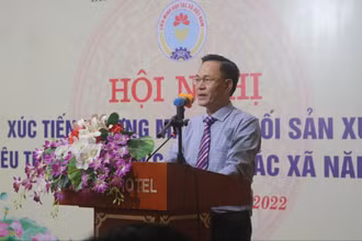 Đồng chí Nguyễn Mạnh Cường, Phó Chủ tịch Liên minh Hợp tác xã Việt Nam phát biểu tại hội nghị.